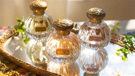 View All Fragrances .